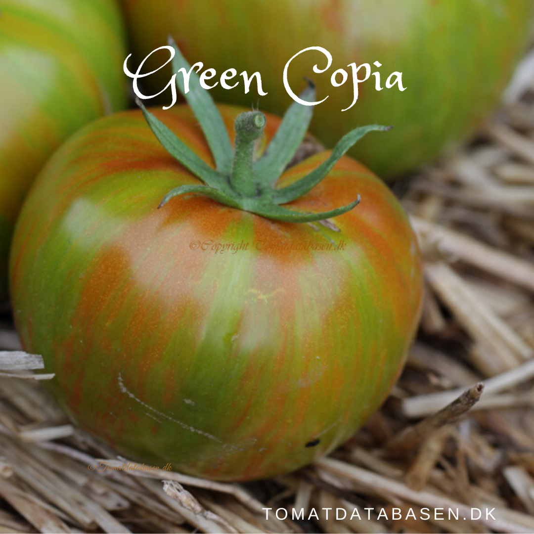 Green Copia